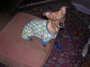 Tucker in his pajamas, ready for bed.